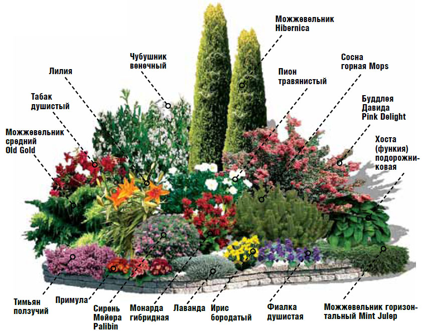 Цветники: выбираем растения, следуем модным тенденциям, составляем схемы