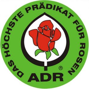 adr_logo_praedikat_logotip
