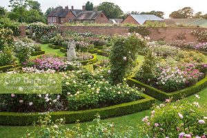 THE VICTORIAN WALLED GARDEN